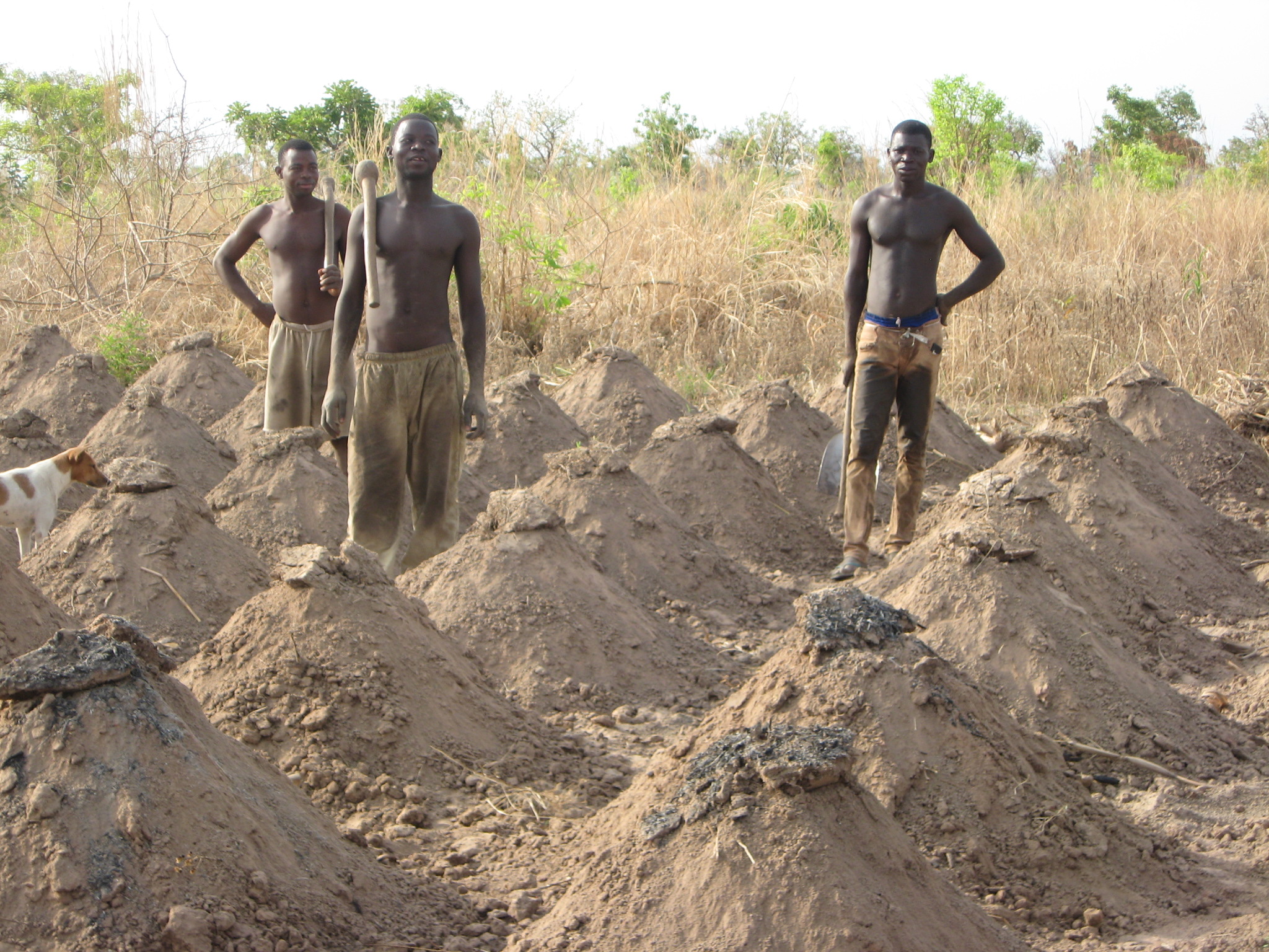 LES ACTIONS DE ANAJA A GUERINKOUKA
